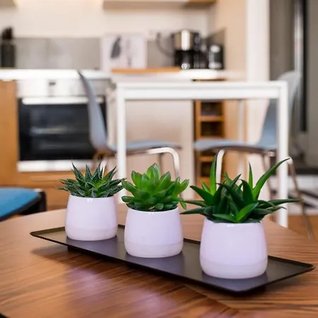 Appartement Old Town - Cozy And Functional Studio
